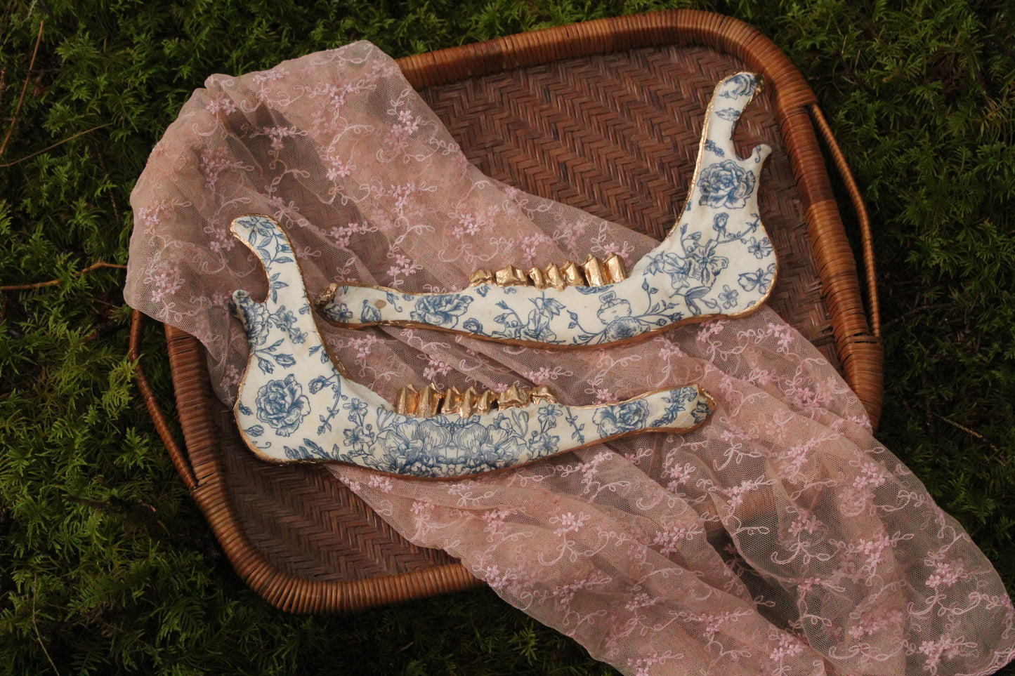 ‘Porcelain’ Elk Jaw Set