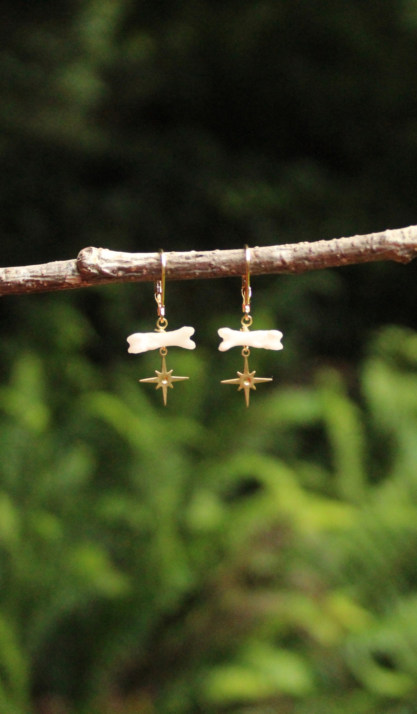 North Star Feral Cat Toe Earrings