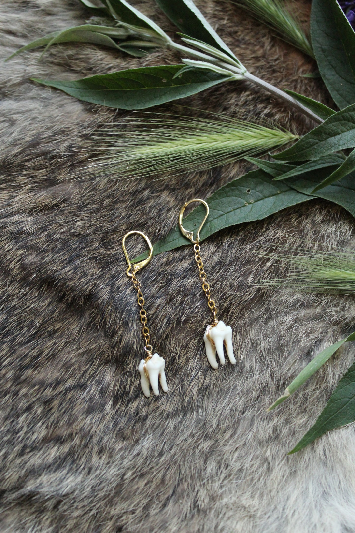 Minimalist Raccoon Tooth Drop Earrings