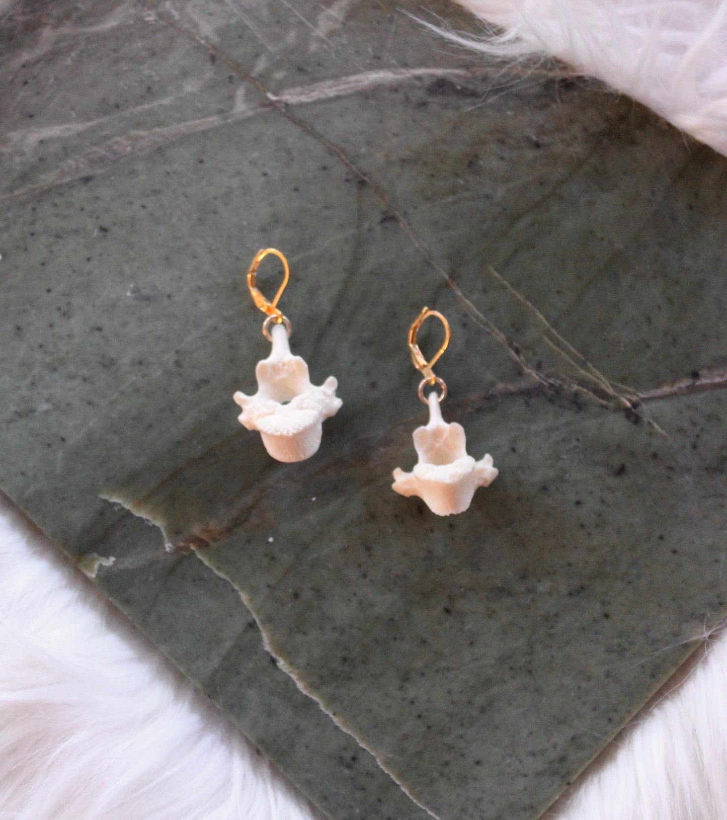 GF Coyote Vertebrae Earrings