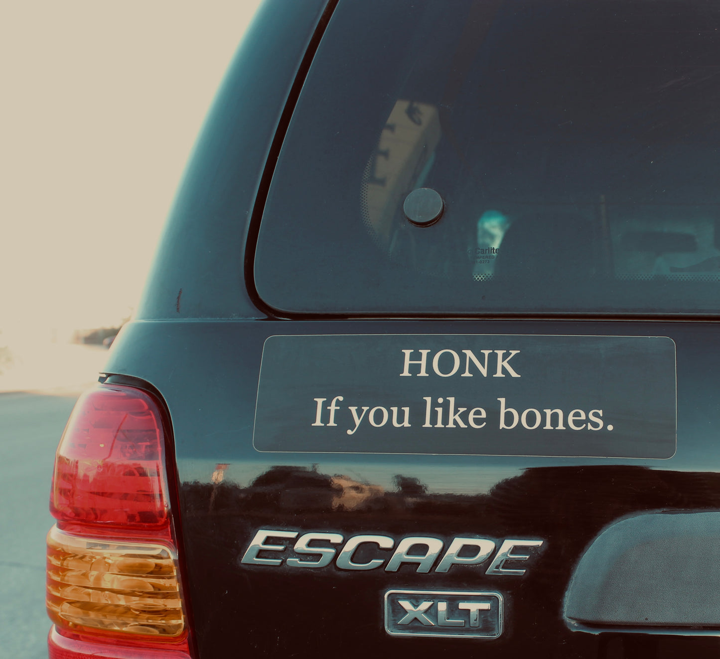 HONK if you like bones! Bumper stickers