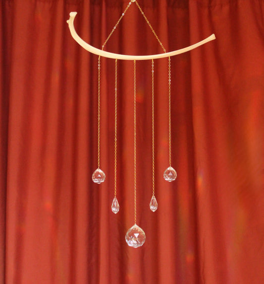 Deer Rib Suncatcher