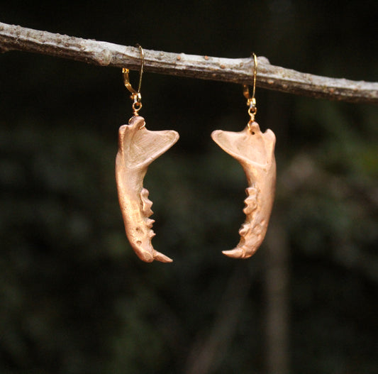 Bronze Skunk Jaw Earrings