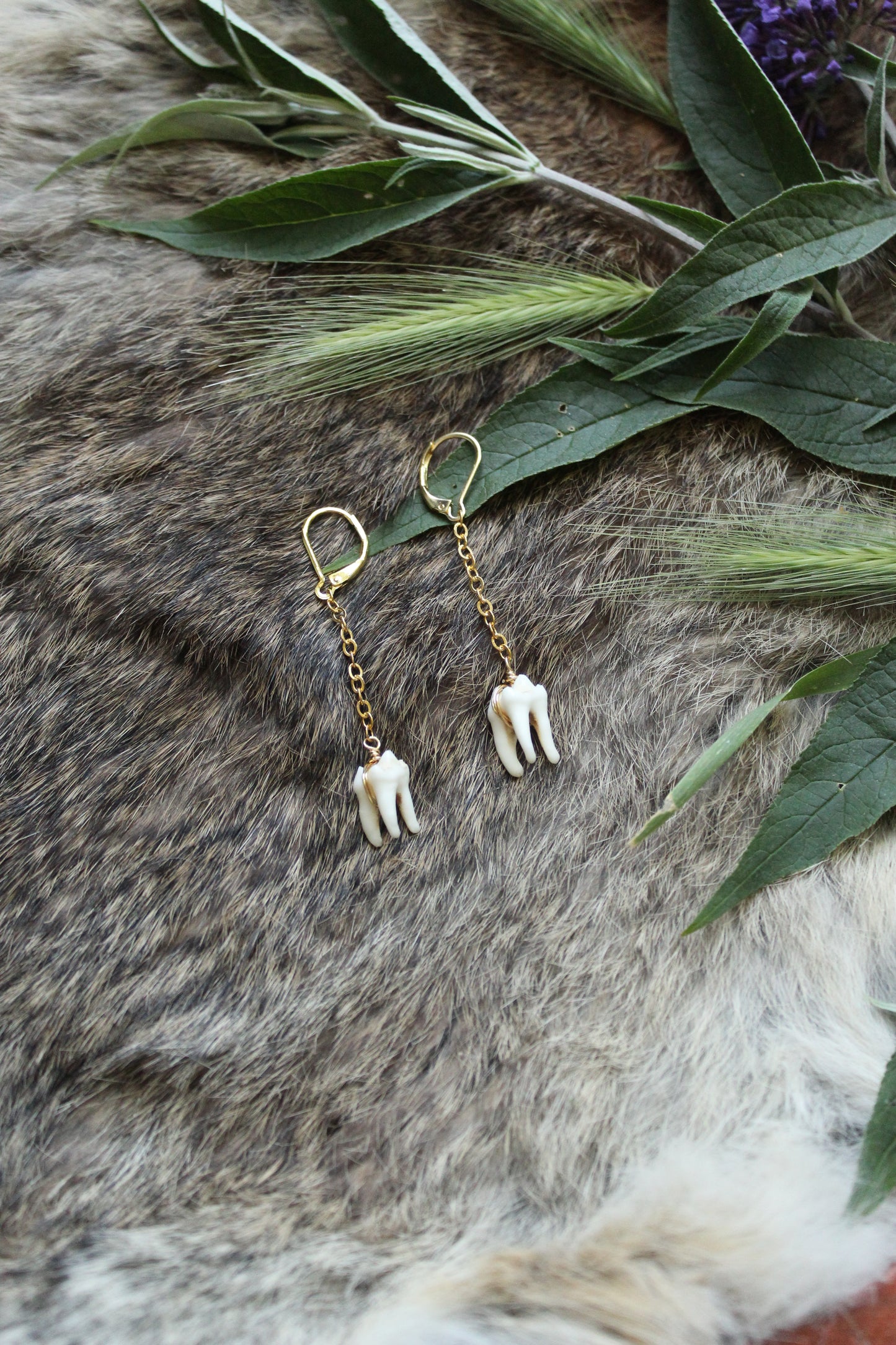 Minimalist Raccoon Tooth Drop Earrings