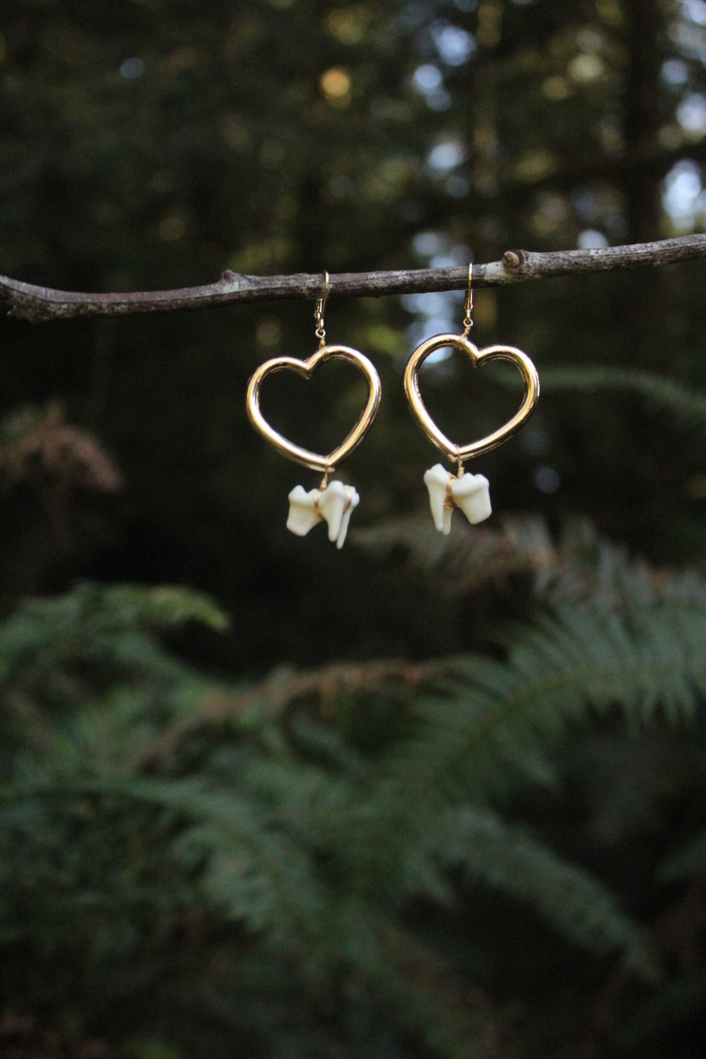 Coyote Molar Heart Earrings