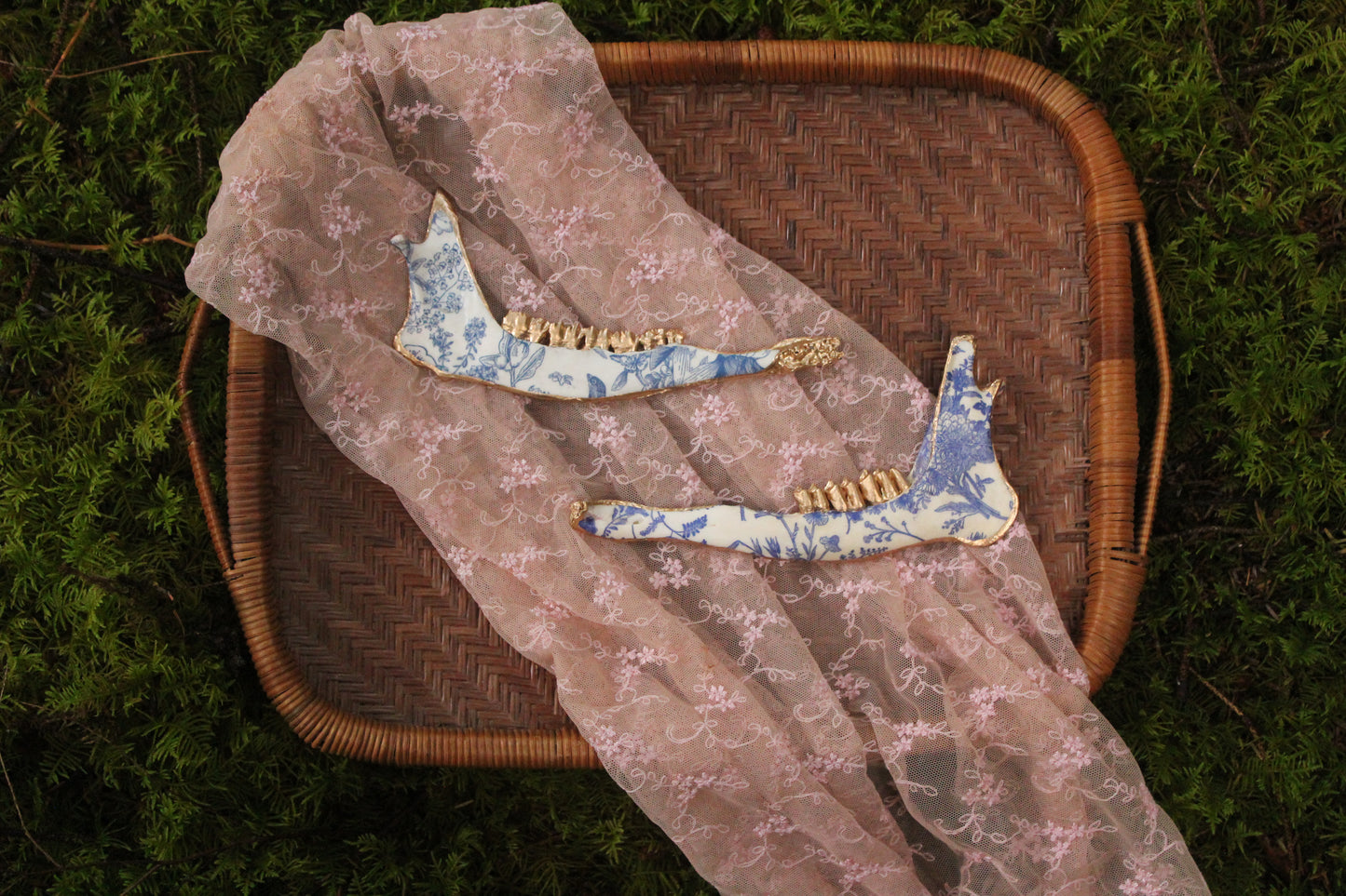 ‘Porcelain’ Deer Jaw Set