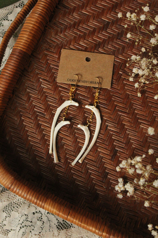 Cat Rib Dangly Earrings