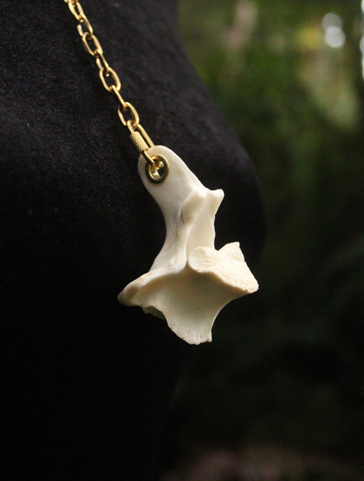 Deer Vertebrae Thneed