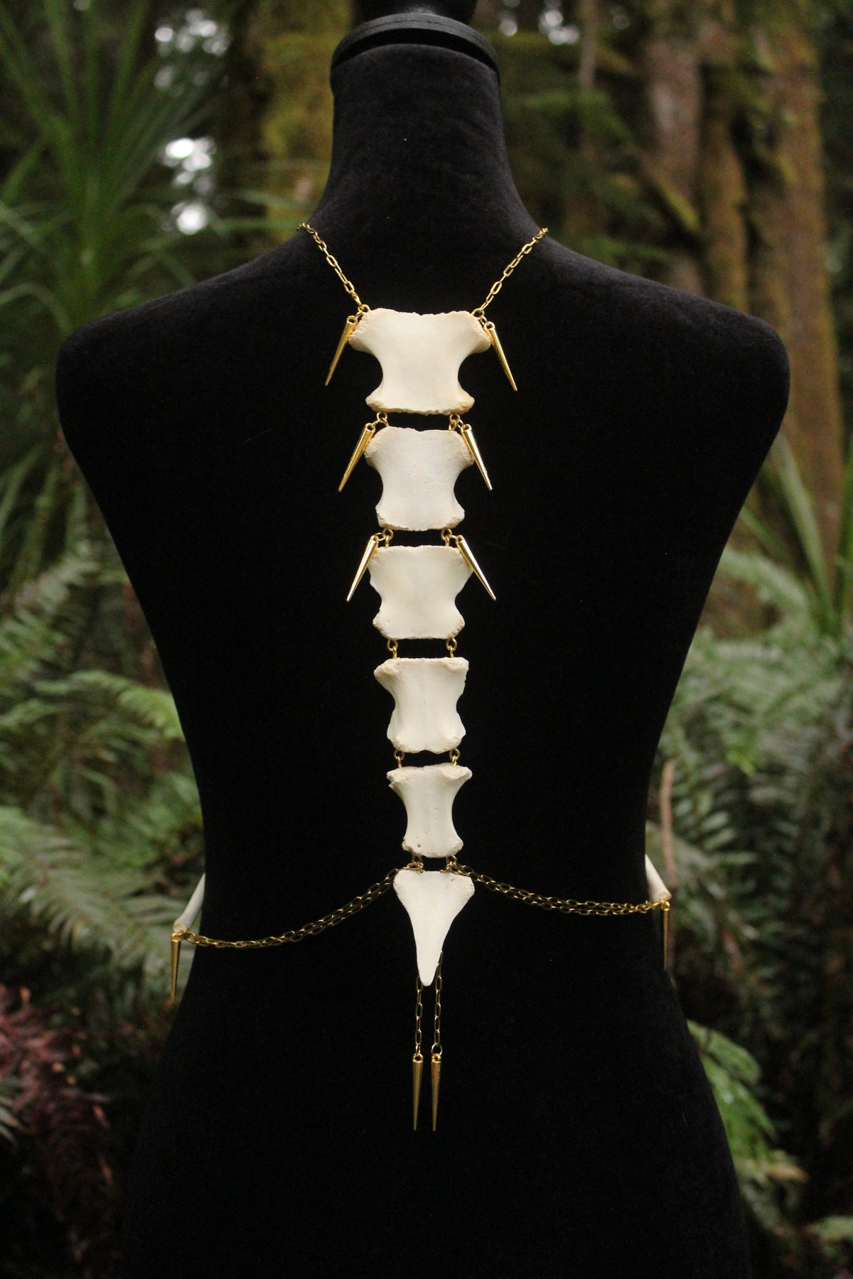 Deer Sternebrae & Rib Body Harness