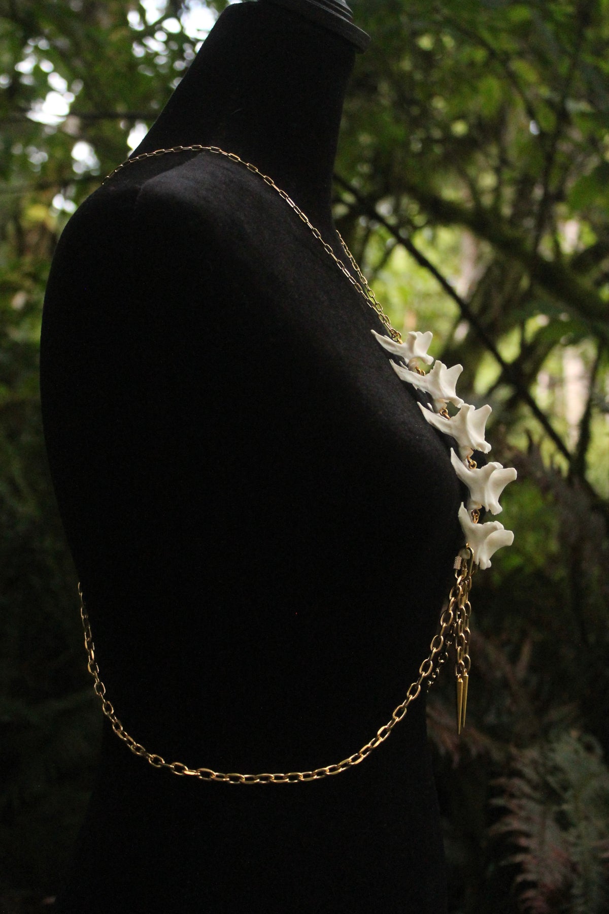 Bob Cat Spine Harness