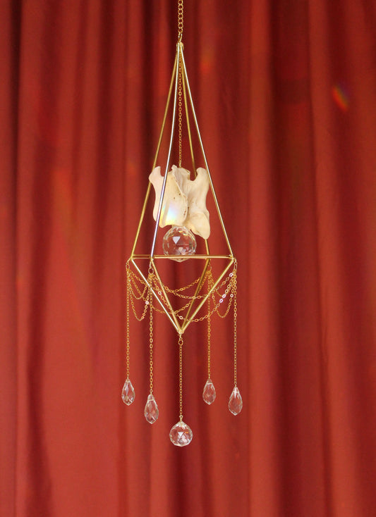 Deer Vertebrae Octahedron Suncatcher